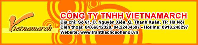 cong-ty-tran-thach-cao-vietnamarch-61-nguyen-xien